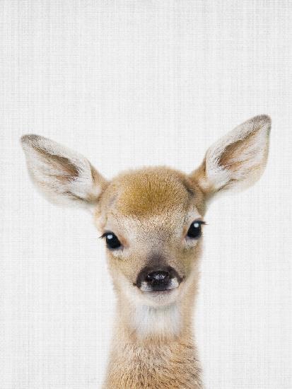 Peekaboo Baby Deer