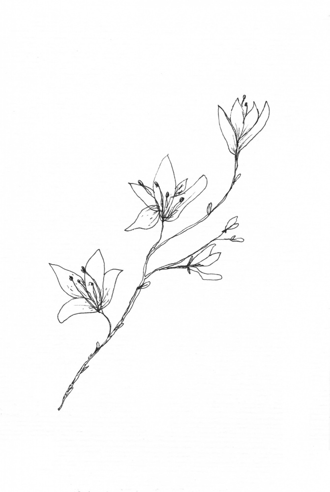 Botanical Trio 1 von Lor Muller