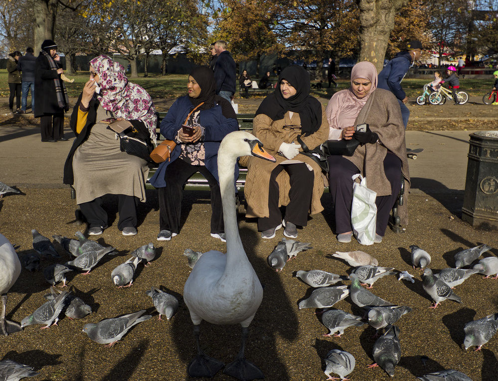 The wardian von Lorenzo Grifantini