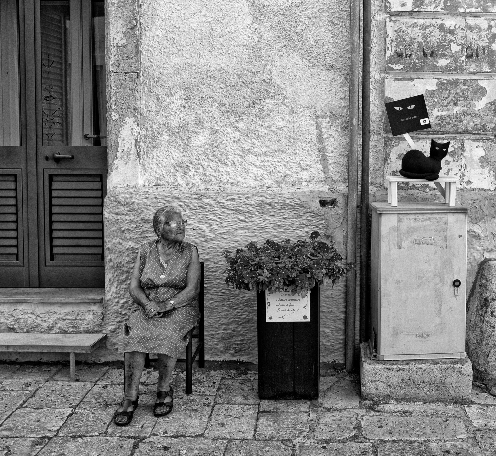 The black cat and the old lady von Lorenzo Grifantini
