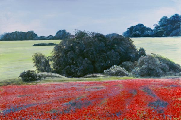 Mohnfeld auf Ost-Rügen von Lothar Lüder
