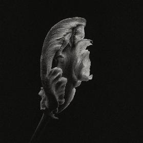 Ich versuche mich zu entfalten