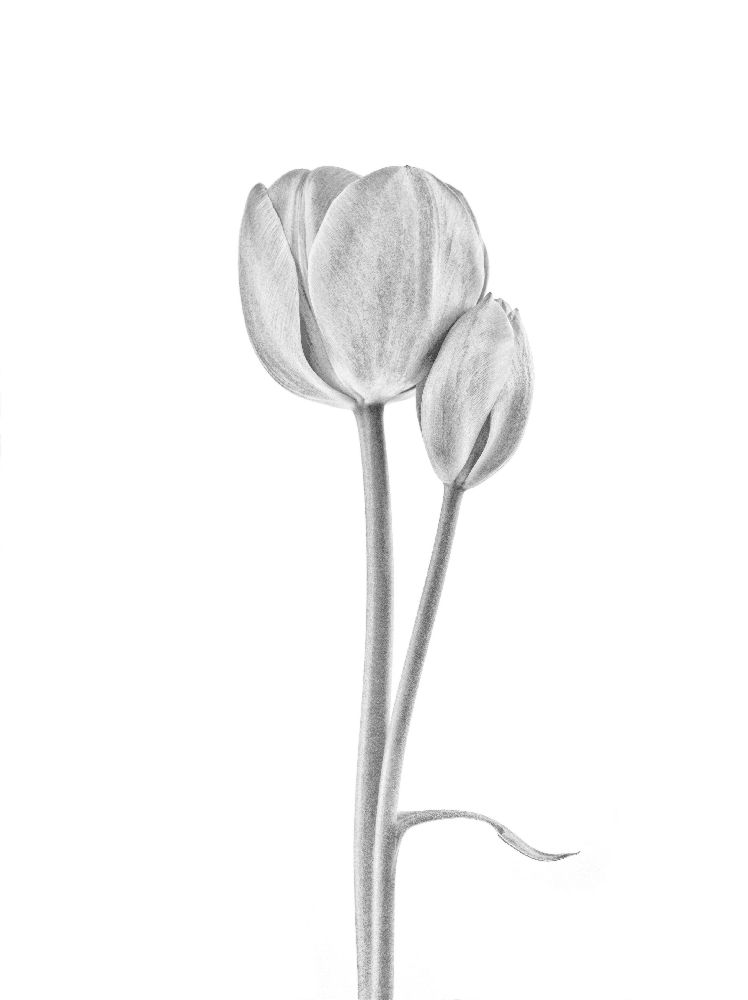 In Verbindung gebracht von Lotte Gronkjaer