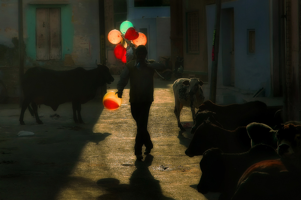 Bikaner von Lou Urlings