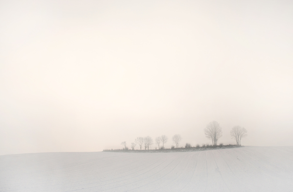 The softness of a winter morning von Lou Urlings