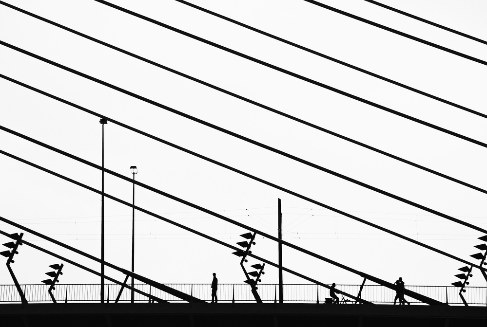 Erasmusbridge von Lou Urlings