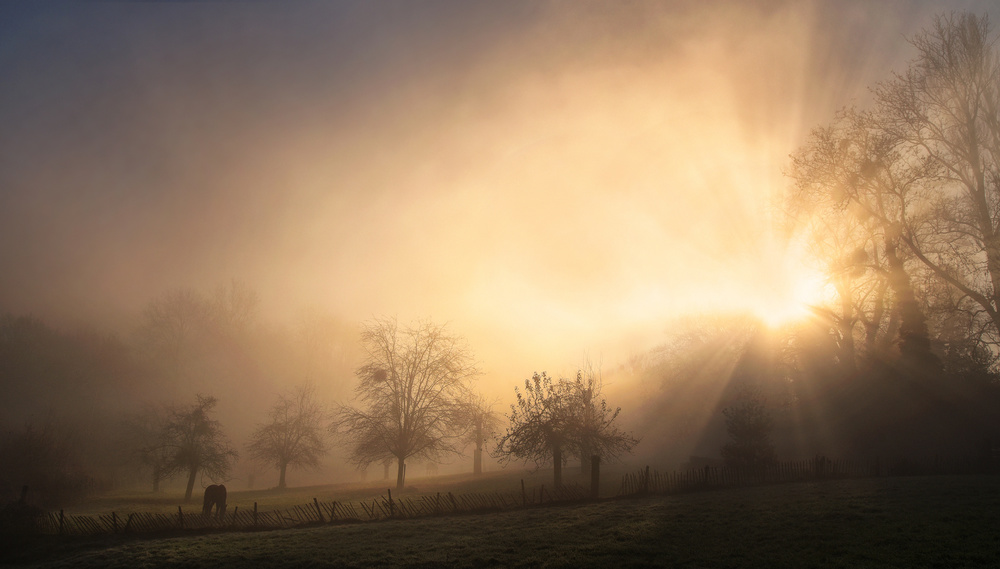 Glorious morning von Lou Urlings