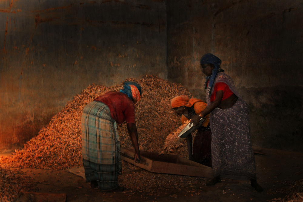 Malabar von Lou Urlings