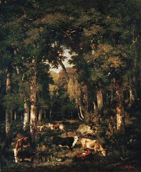 Kühe im Walde von Fontainebleau.
