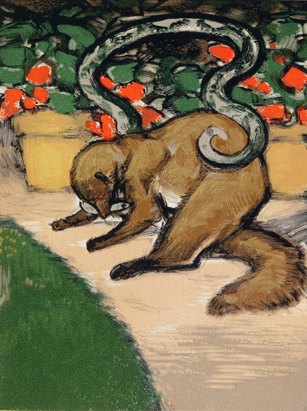 Rikki-Tikki-Tavi, illustration from The Jungle Book by Rudyard Kipling (1965-1936) published in Pari von Louis Joseph Soulas