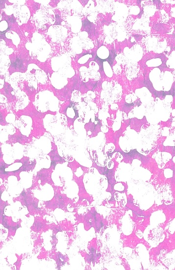 Animal von  Louisa  Hereford