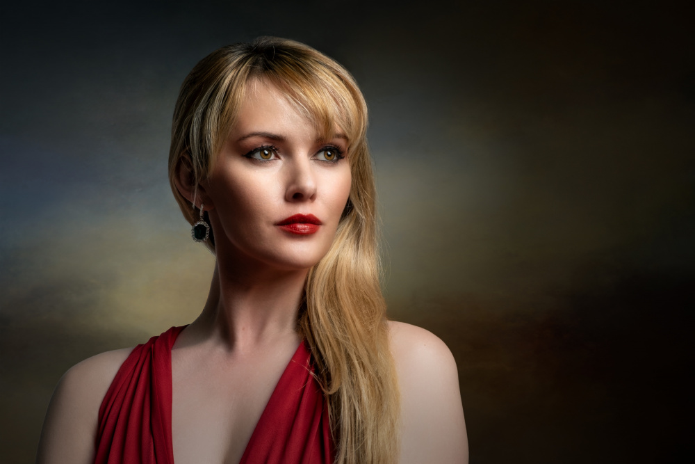 Muse About the Past von Luc Stalmans