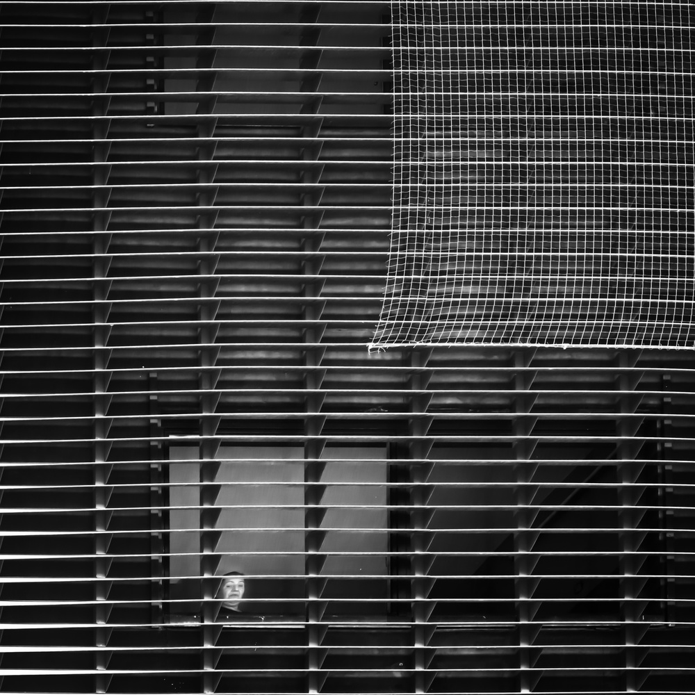 The warden von Luc Vangindertael (laGrange)