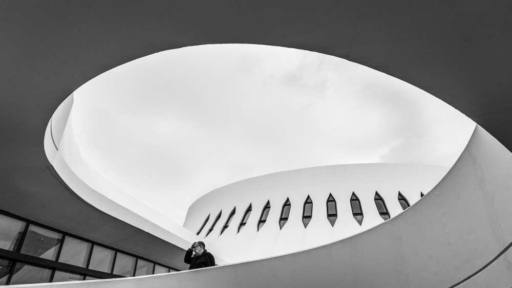 Dizzy von Luc Vangindertael (laGrange)