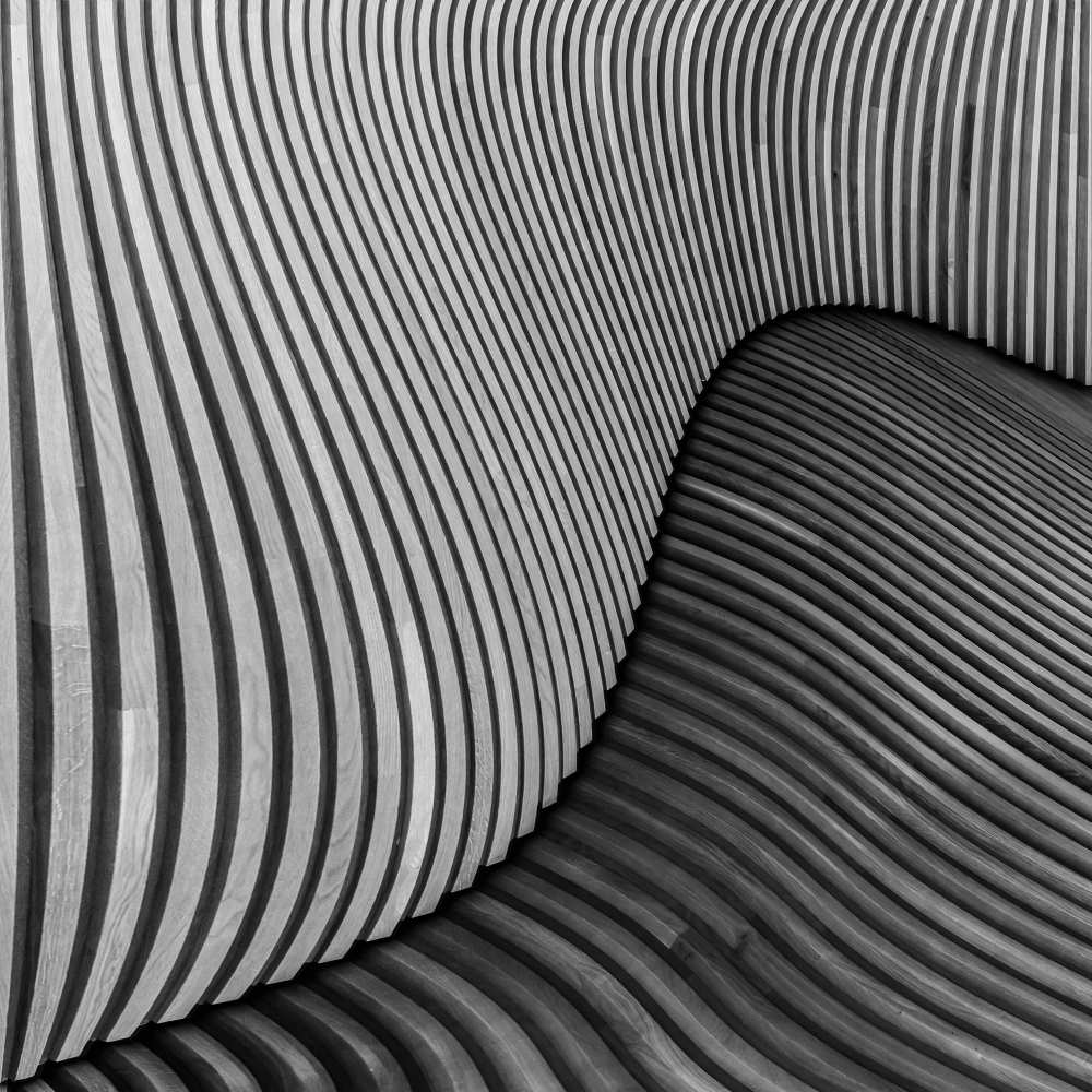 The wood project I - Tangled wood von Luc Vangindertael (laGrange)