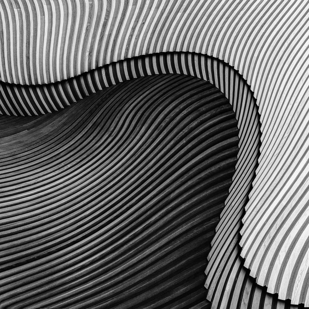 The wood project II - Sea shore von Luc Vangindertael (laGrange)