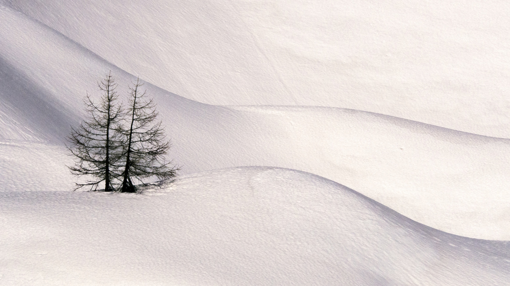 Trees in the snow 3 von Luca