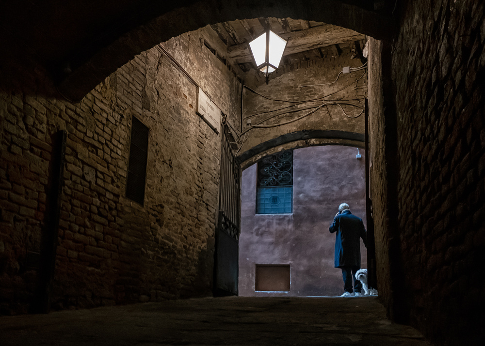 witness von Luca Domenichi