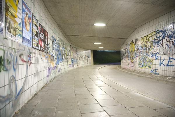 brücke von Lucian Mitiu