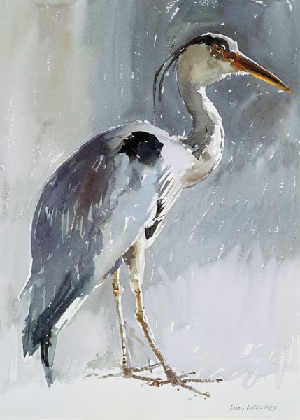 Grey Heron, 1987 von Lucy Willis