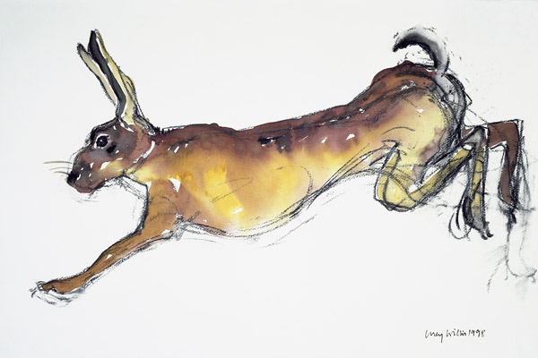 Jumping Hare (w/c & charcoal on paper)  von Lucy Willis