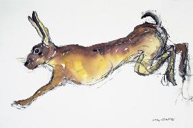 Jumping Hare (w/c & charcoal on paper)  - Lucy Willis