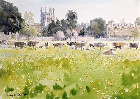 Looking Across Christ Church Meadows, 1989 (w/c on paper) 