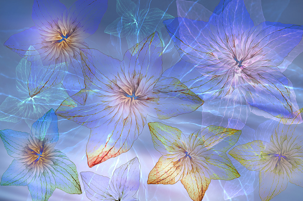 Into the light von Ludmila Shumilova