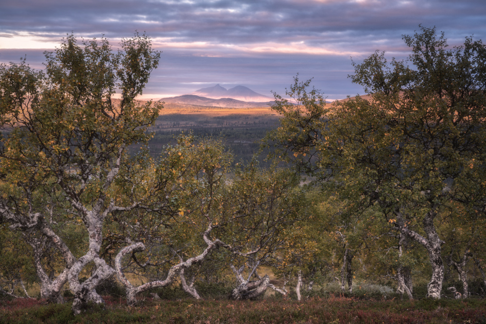 Crooked von Ludwig Riml