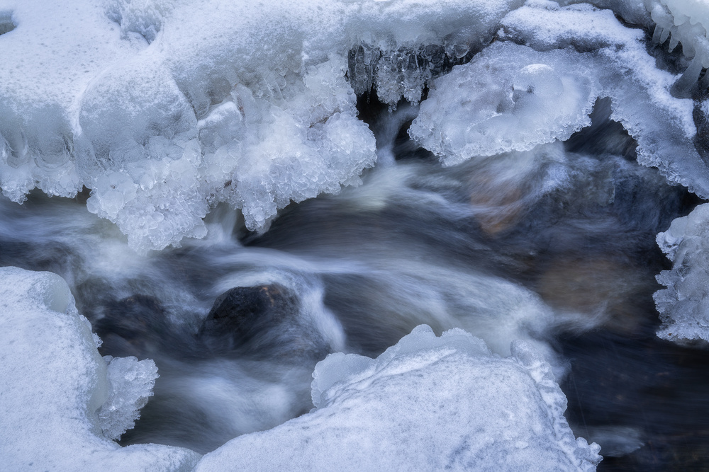 Wei Wu Wei von Ludwig Riml