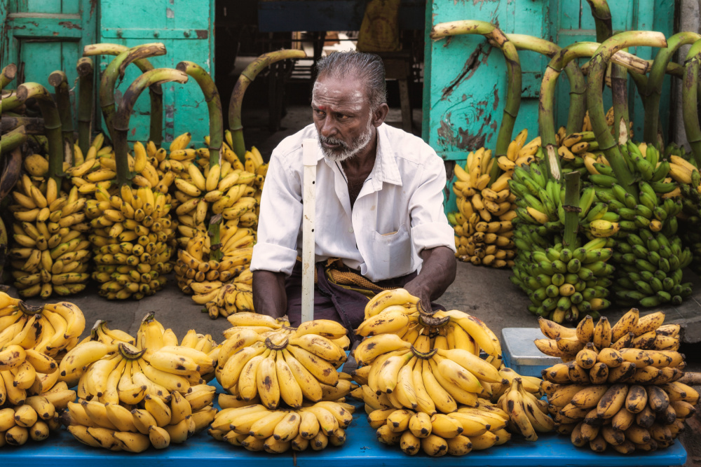 For Sale von Ludwig Riml