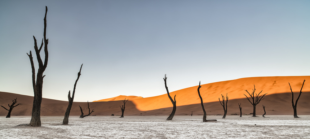 Namibian desert von Luigi Ruoppolo