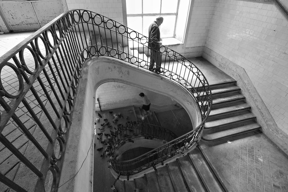 Up and Down ... von Luis Câmara