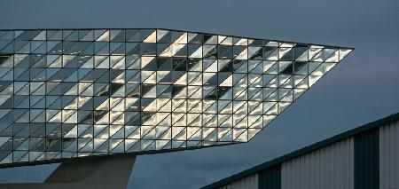 delicate equilibrium