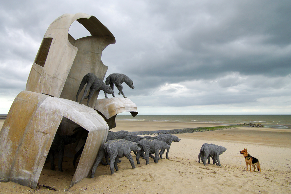 Paolo Grassini von Lus Joosten