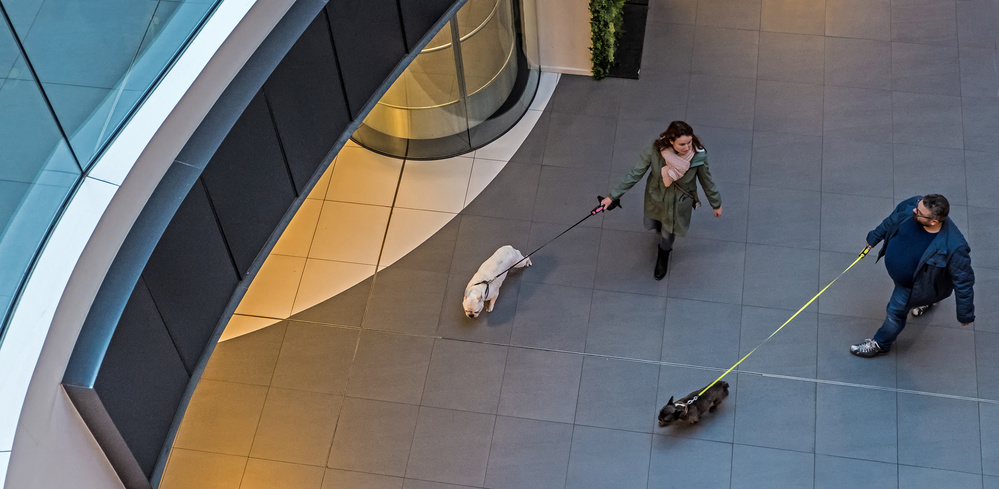 how to make friends von Lus Joosten