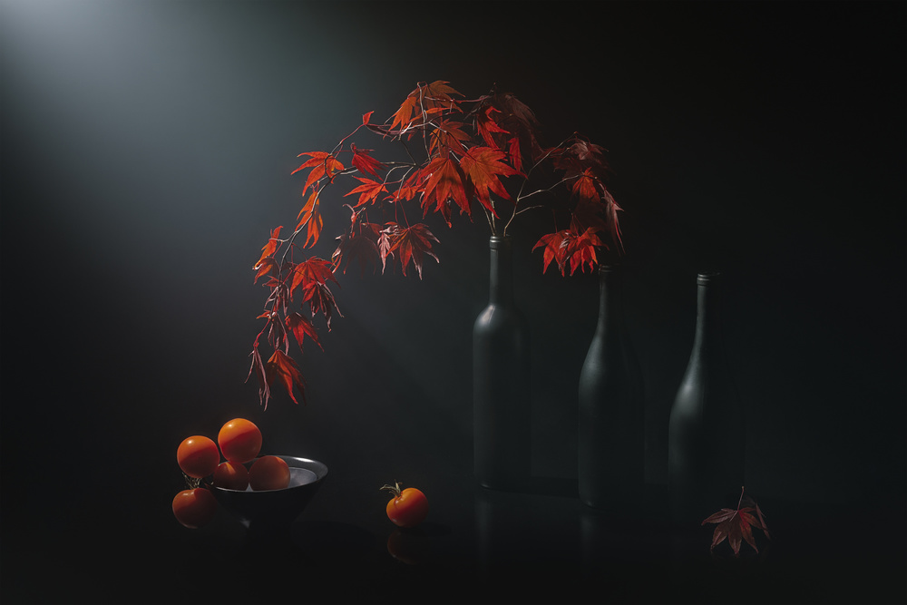 Maple Leaf von Lydia Jacobs