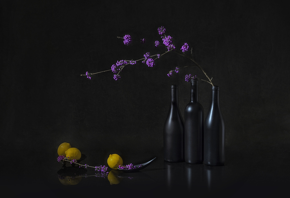 Berry and Lemon von Lydia Jacobs