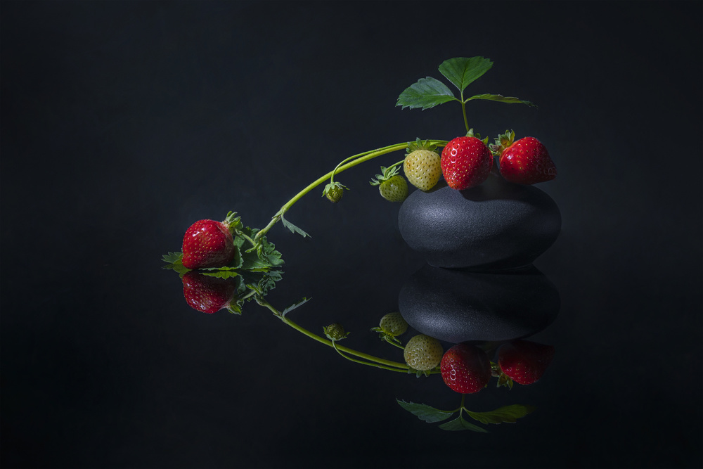 Berries Reflected von Lydia Jacobs