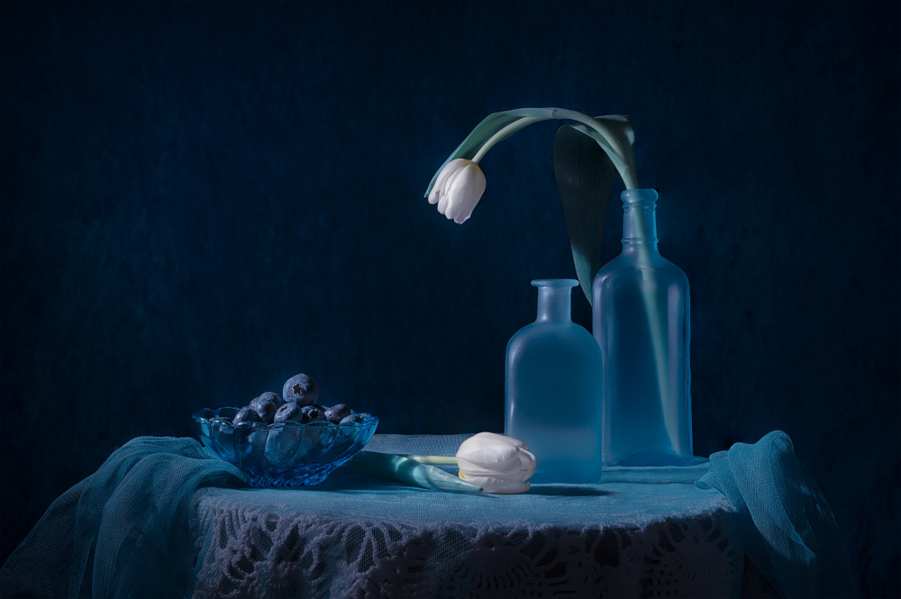 Blueberry Lover von Lydia Jacobs