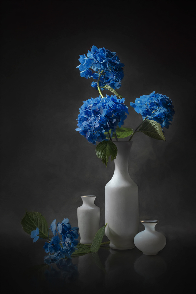 Blue Hydrangea von Lydia Jacobs