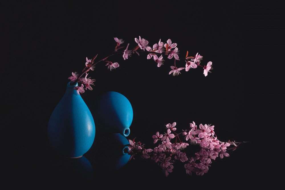 Blooming Prunus von Lydia Jacobs