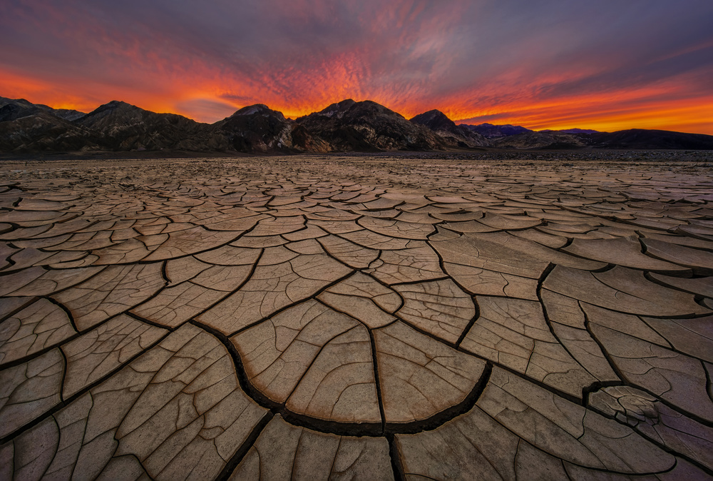 Brilliant von Lydia Jacobs