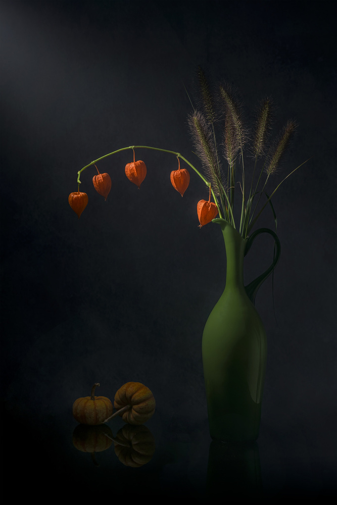 Chinese Lantern and Tail Grass von Lydia Jacobs