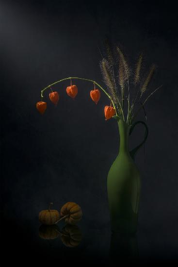 Chinese Lantern and Tail Grass