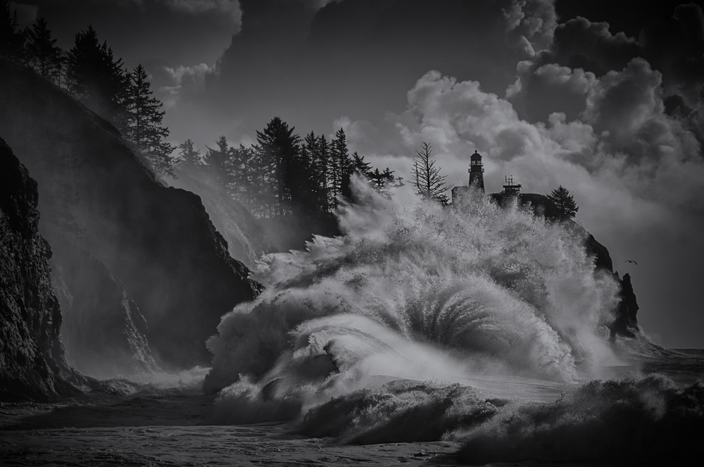 The roar of the sea von Lydia Jacobs