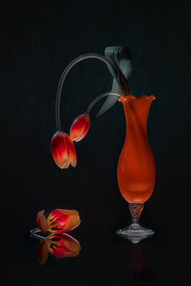 The Tulip Gathering von Lydia Jacobs