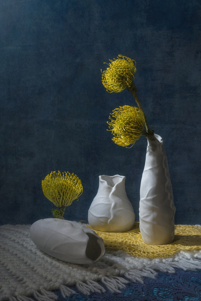 Three Leucospermums von Lydia Jacobs