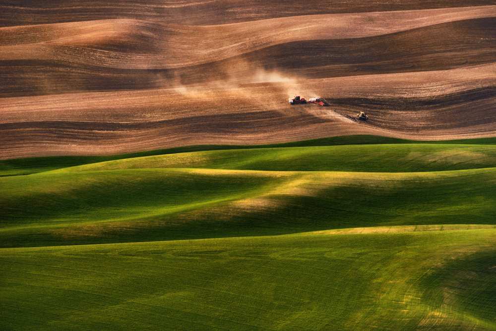 Farmland von Lydia Jacobs