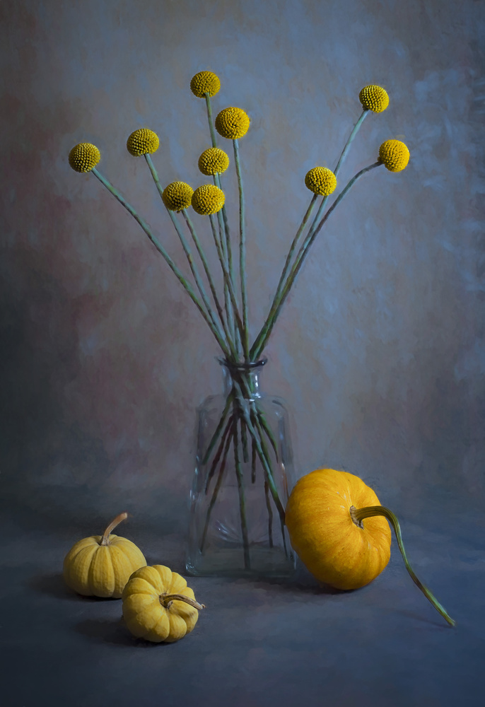 Fresh Billy Balls von Lydia Jacobs